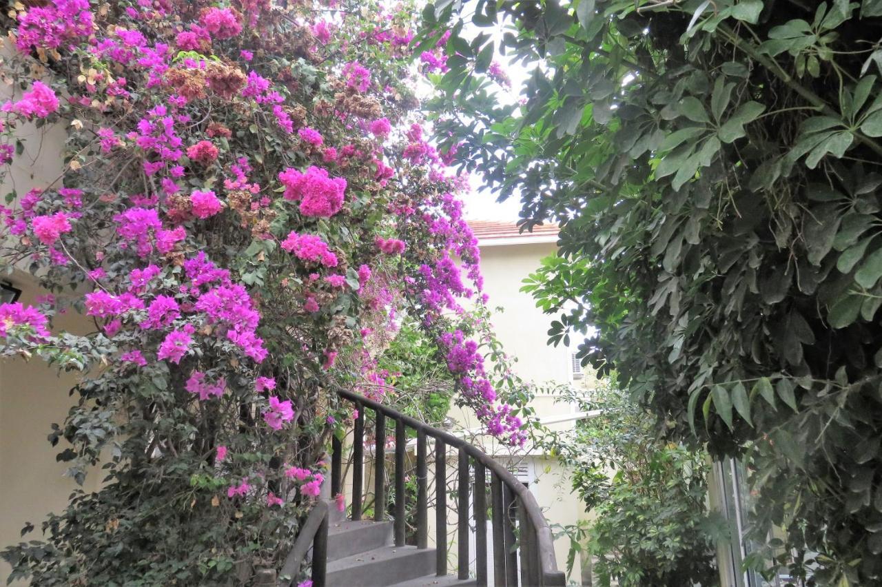 מאהבורג Sacha Tourist Residence 2 מראה חיצוני תמונה